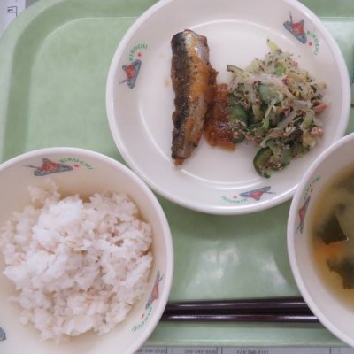 給食