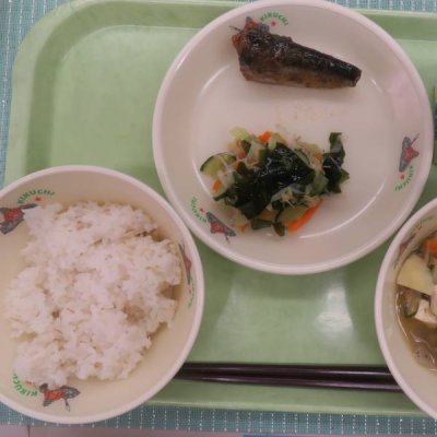 給食