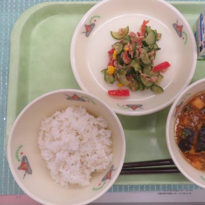 給食