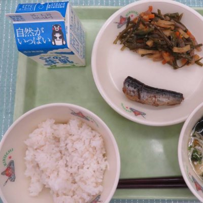 給食