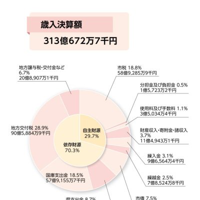 R6年度歳入決算額円グラフ