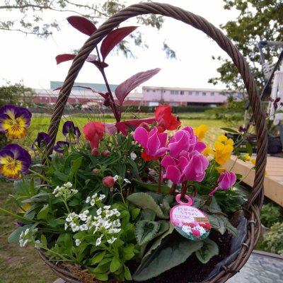 寄せ植えイメージ写真