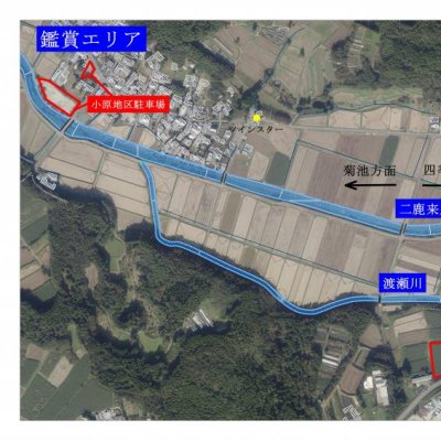 鑑賞エリア図